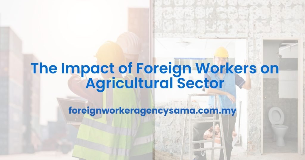The Impact of Foreign Workers on Agricultural Sector